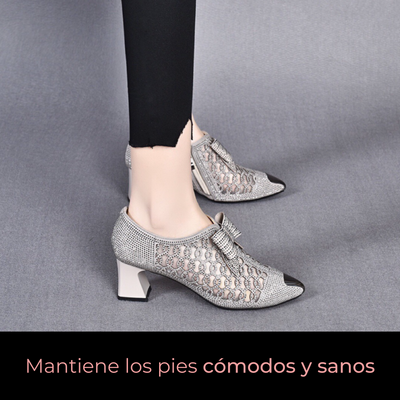 Zapato Elegancia Bordado